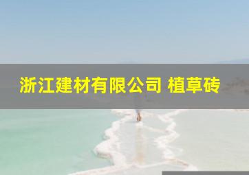 浙江建材有限公司 植草砖